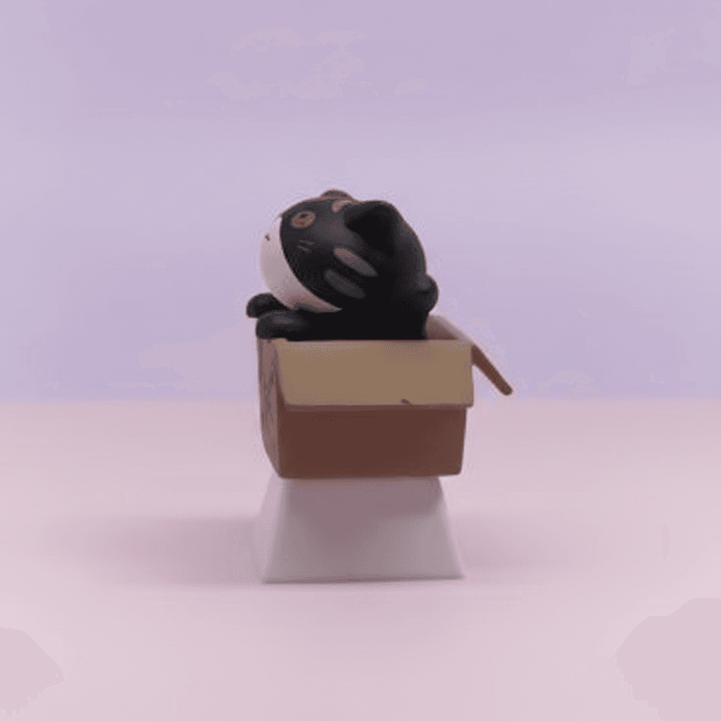 Kitten In A Box Artisan Keycap — view 3
